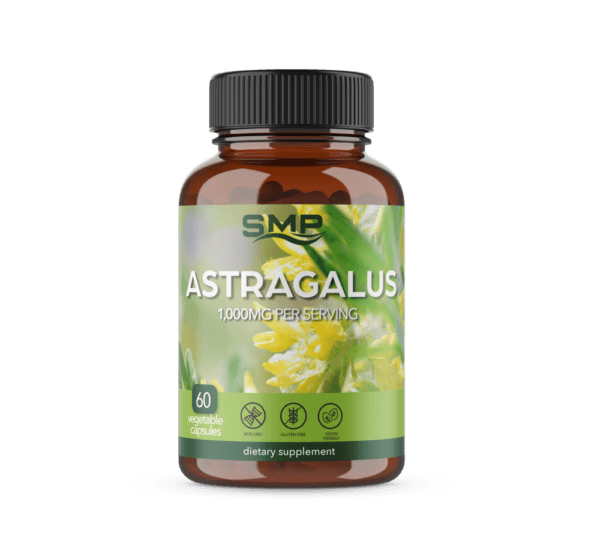 Astragalus Root Capsules 500 mg ea