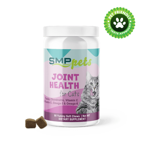 joint health for dogs glucosamine msm yucca chondroitin vitamin c vitamin e omega 3 omega 6 mobility soft chews in a bag