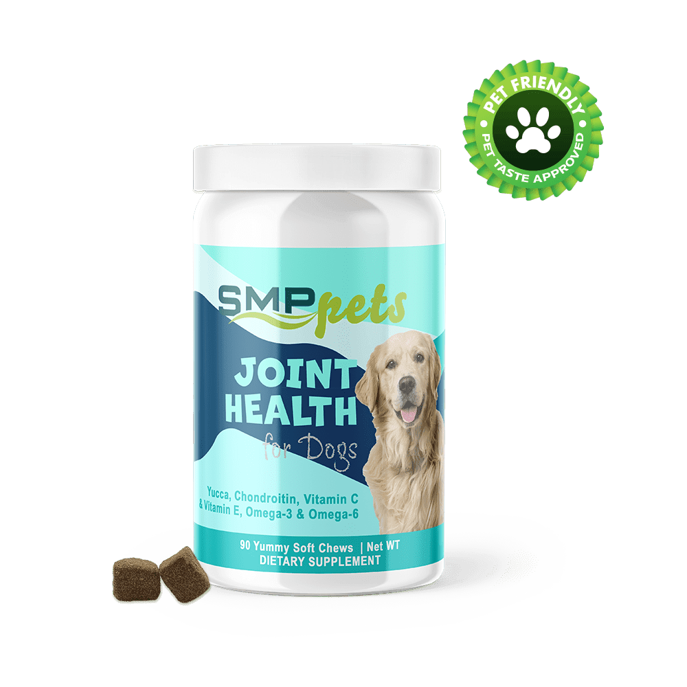 Joint Health for Dogs – Glucosamine, MSM, Yucca, Chondroitin, Vitamin C & Vitamin E, Omega-3 & Omega-6 – Mobility Soft Chews