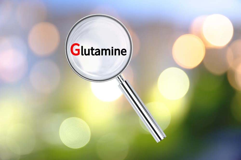 A magnifying glass highlighting the word Glutamine