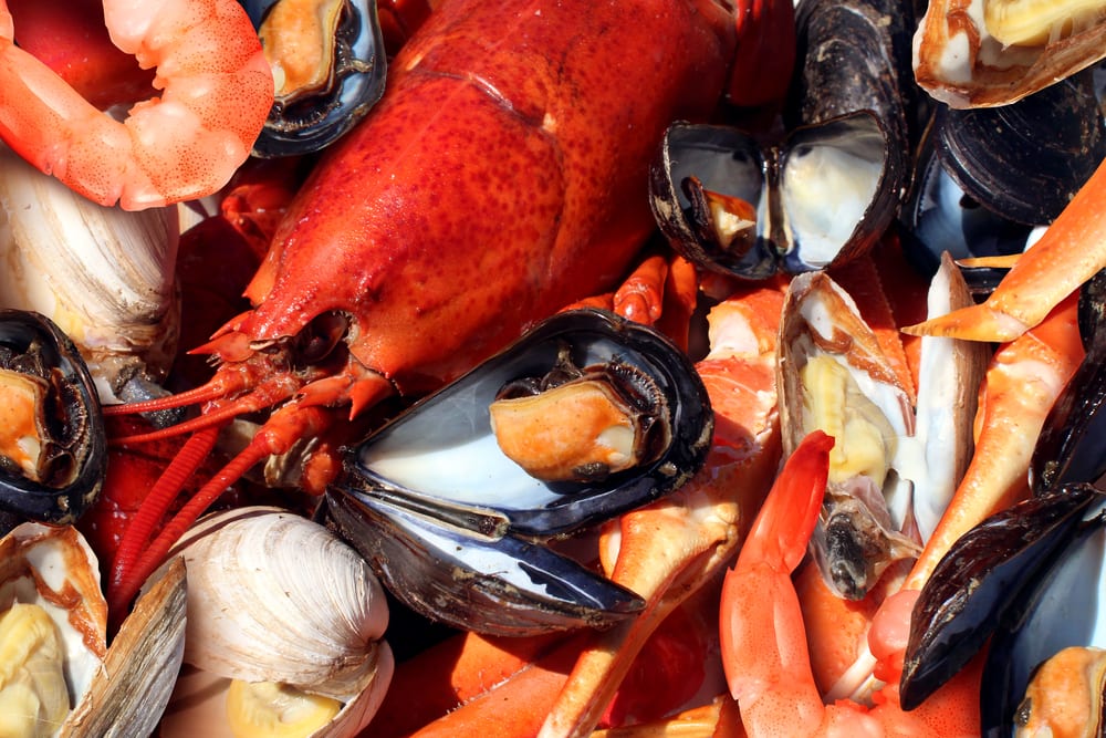 Shellfish, a natural source of glucosamine