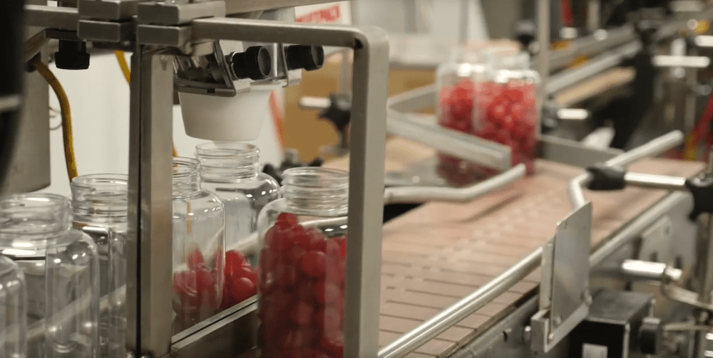 Bottles being filled with gummy vitamins on an automated filling line