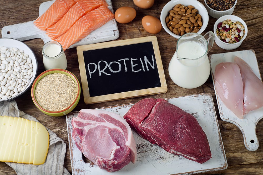 amino acids vs protein: protein